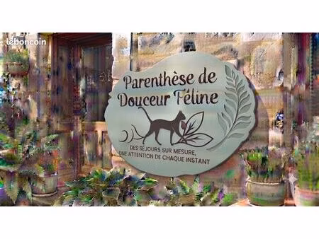 recherche terrain pour structure animalière