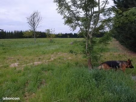 terrain à louer pour maraichage