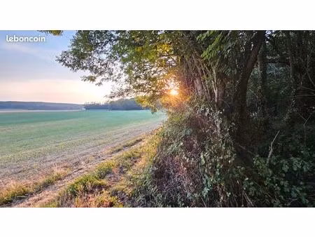 terrain de loisirs 1000 m2 à 91840 soisy sur ecole