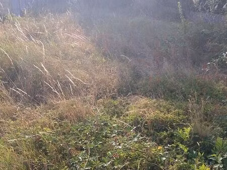 vente terrain constructible 400 m2 morsang-sur-orge