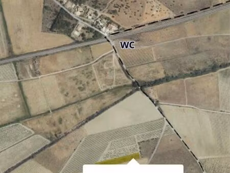 terrain agricole