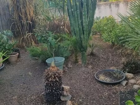 bas de villa t2 et jardin 113m2