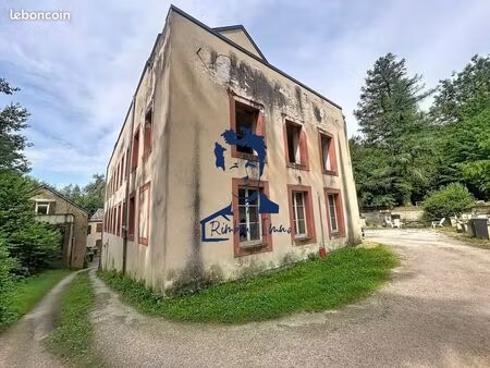 immeuble 450 m² bazeilles