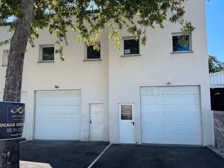 local 55 m² treillieres