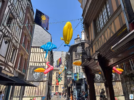 joli appartement lumineux en duplex au coeur du centre ville du vieux rouen historique ave
