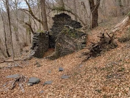 ventes ruine sur terrain cadastré