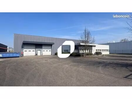 local bureaux 2 655 m²