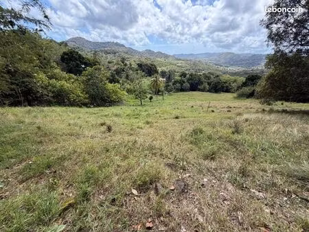 terrain 7 500 m² vauclin
