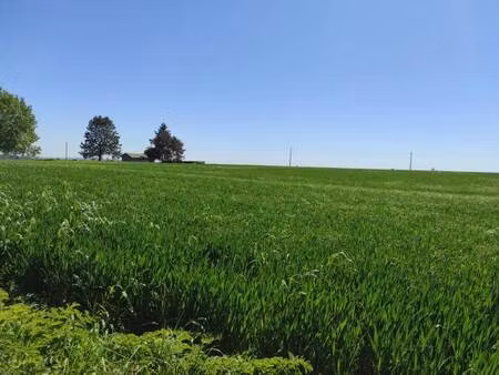 terrain constructible à vendre