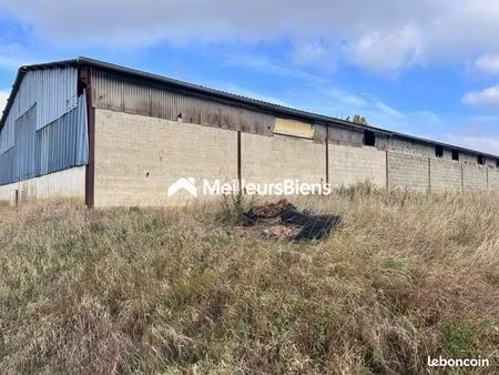 local 600 m²