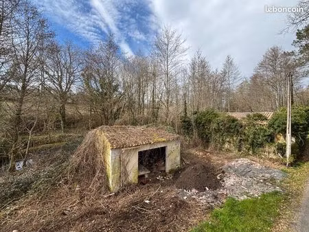 terrain de 6000 m2 mirambeau 17150