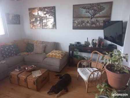 appartement cosi