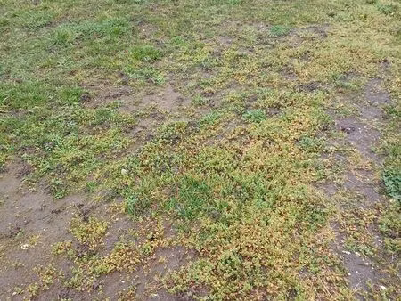 terrains à bâtir auxonne 21