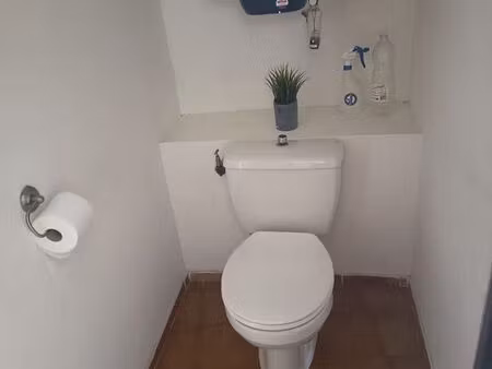 appartement cogolin