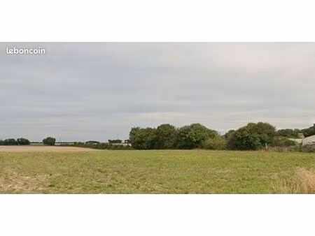 terrain 439 m² le thou