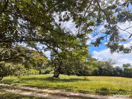 terrain constructible de 2 300 m² – kourou