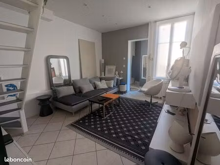 duplex lumineux de 79m² au sol (42.72m² loi carrez) – quartier jouvence  dijon