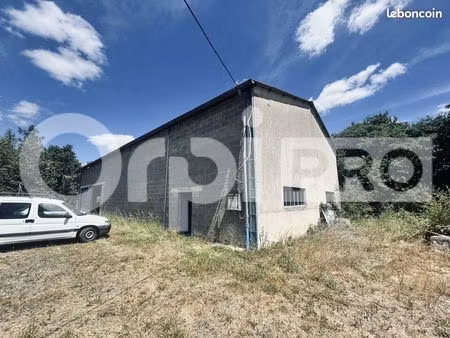 local d'activité 300 m²