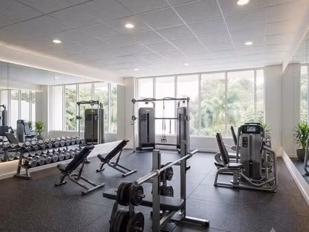 local professionnel à louer – salle de sport – centre alpha  saint-louis (le gol)