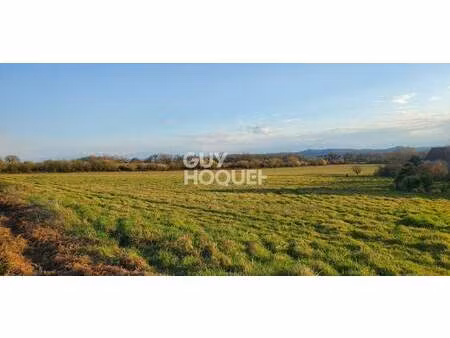 terrain à vendre