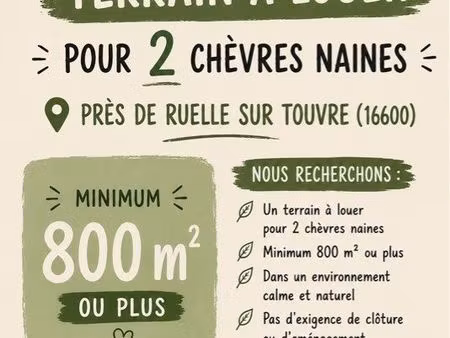 recherche terrain location