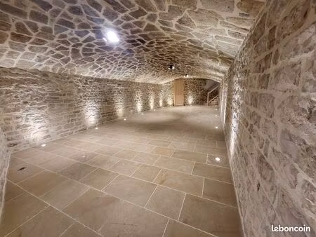 loue t3 70m2 + cave 55m2 nuits st georges 217oo