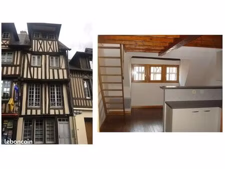 appartement t1 bis (avec mezzanine) 116 rue henry chéron libre fin aout 2026