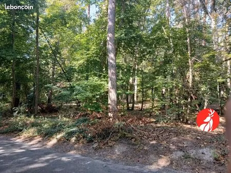 terrain 1 695 m² montigny sur loing