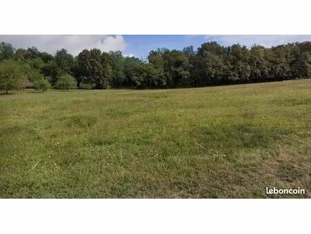 terrain à bâtir de 6000 m² à cause-de-clerans (24)