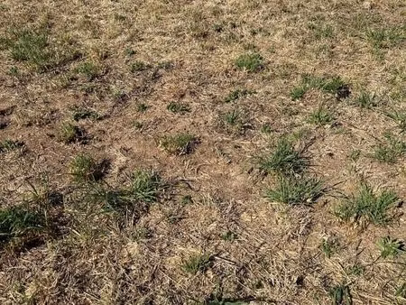 terrain 1 400 m² boissay