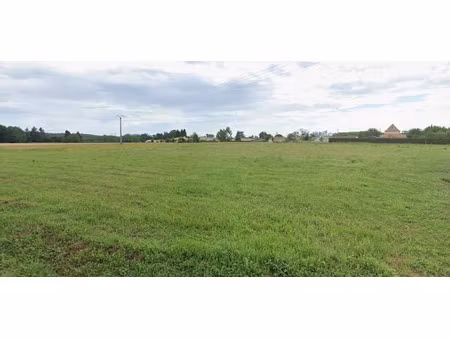 vente terrain 1200 m² à saint-leon-sur-l'isle (24110)  30 000 €