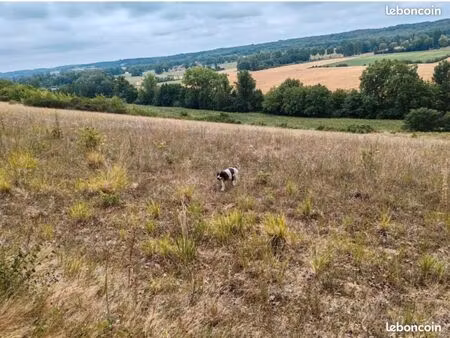 terrain constructible avec vue panoramique