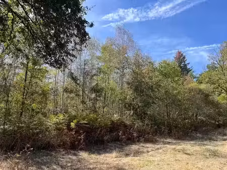 vente terrain 9300 m² à cognac-la-forêt (87310)  10 000 €