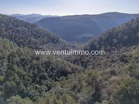 vente terrain 1371 m² à saint-cézaire-sur-siagne (06530)  3 990 €
