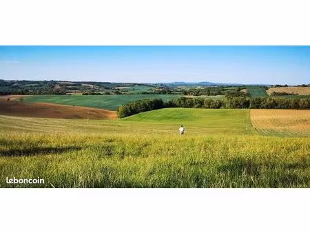 terrain constructible