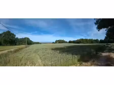 vente terrain 12431 m² à roybon (38940)  19 900 €