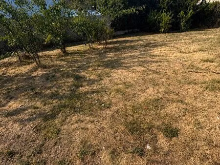 terrain constructible