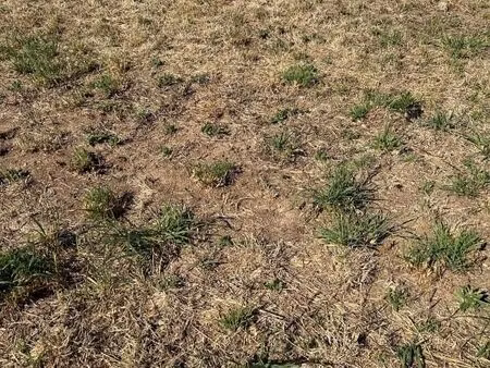 terrain 1 500 m² saint aubin epinay