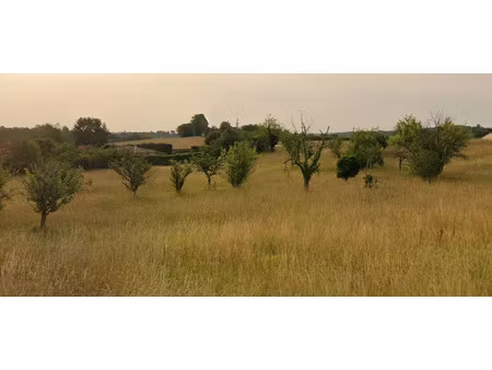 vente terrain 1829 m² à cornille (24750)  23 000 €