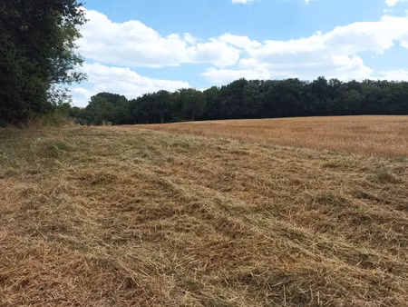 vente terrain 3340 m² à douchapt (24350)  25 000 €