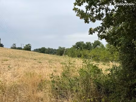 terrain 816 m² puygouzon