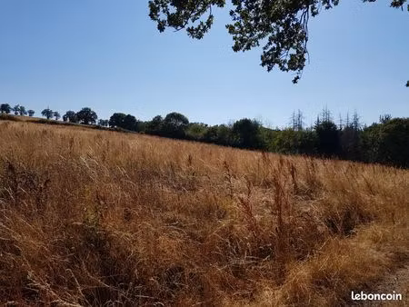 terrain agricole ou de loisir