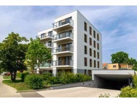 le kiosque immobilier