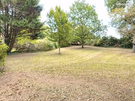 terrain constructible