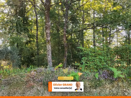 vente terrain 1245 m² à oradour-sur-glane (87520)  32 000 €