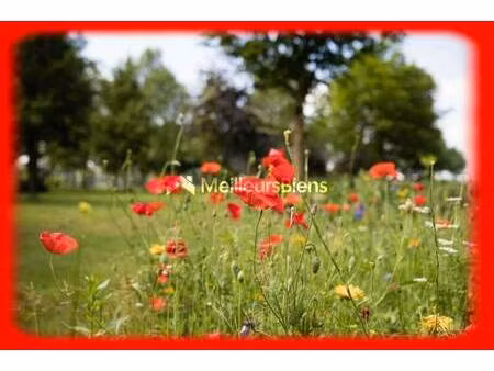 terrain constructible à vendre