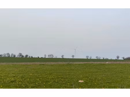 vente terrain 600 m² à vendeuvre-du-poitou (86380)  29 300 €