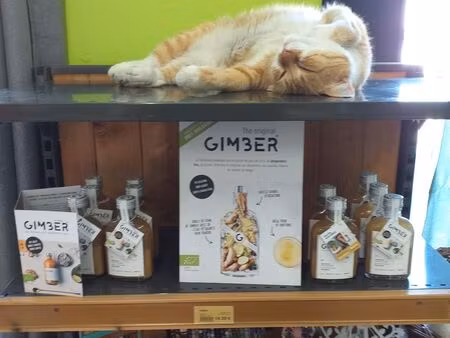 vente magasin bio