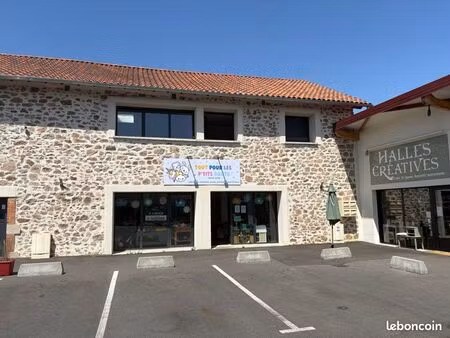 local professionnel   96 m² - crezin