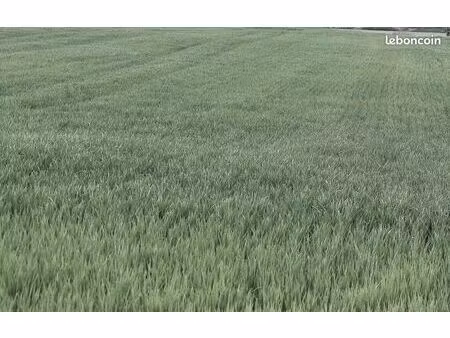 terrain agricole 25 445 m² dange saint romain